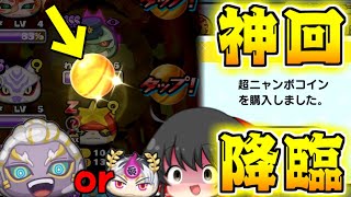 【ぷにぷに】神回 遂に超ニャンボで止まった ZZZかUZの究極の2択が降臨【ゆっくり実況妖怪ウォッチ】 [upl. by Haydon]