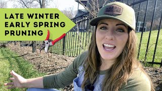 How to Prune Berries the Right Way  Early Spring Pruning Tips For Beginners [upl. by Alliuqal401]