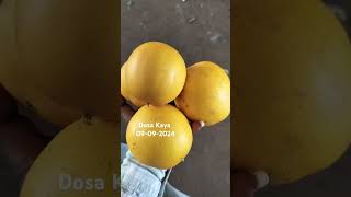 Dosa Kaya buduma Dosa Dosage bowenpally vegetable market shortvideo videos trending vlogs food [upl. by Atined]