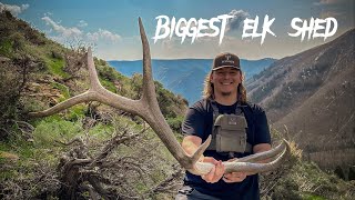 My Biggest Elk Shed  High Country Elk Sheds [upl. by Gresham]