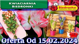 𝐁𝐈𝐄𝐃𝐑𝐎𝐍𝐊𝐀 🐞 Kwiaciarnia Biedronki Nowa Oferta Od 15022024  Kwiatowe Inspiracje Biedronki [upl. by Zerla]