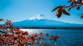 Kawaguchiko 河口湖 Travel Japan in 4K [upl. by Edgerton18]