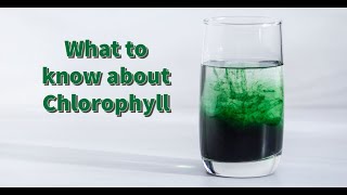 Chlorophyll What is it Is it Good For Your Health [upl. by Fannie]