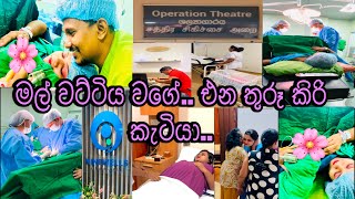 මල් වට්ටිය වගේ එන තුරූ කිරි කැටියා👩‍🍼 trending viralvideo couplegoals wifeywithhubster [upl. by Koal]