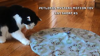 How to bring out your cats hunting instincts  Pet Links Mystery Motion Toy [upl. by Lolita]