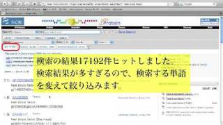 Entrezを使って配列を検索する ヒトのheat shock factorのアミノ酸配列を得る [upl. by Elyse]