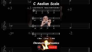 How to play the C Aeolian Scale  Formula  Notes   Jazz Chromatic Harmonica Tabs [upl. by Mirilla]