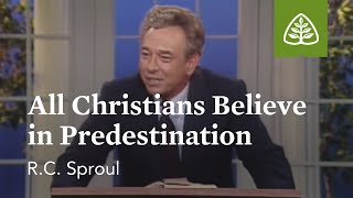 All Christians Believe in Predestination The Classic Collection with RC Sproul [upl. by Keare320]