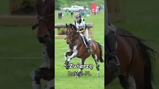 Dzisiaj drugi edit 🤭equestrian horse pony horseriding horselover cute jeździectwo koniara [upl. by Luttrell]