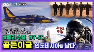 ★비행기 배달이요★ 국산 T50 골든이글 첫 해외 수출 밀착 다큐  골든이글 T50 인도네시아를 날다  전투기 밀착다큐 시리즈 3탄 KBS 140107 방송 [upl. by Eemla253]