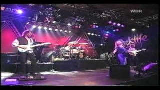 Melissa Etheridge  No Souvenirs 1993 Köln Germany [upl. by Aserahs]