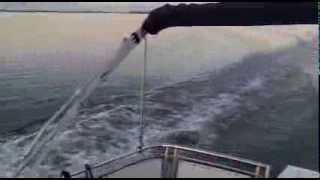 Elling E4  14 knots on markermeer with sunsetmp4 [upl. by Hazeghi466]