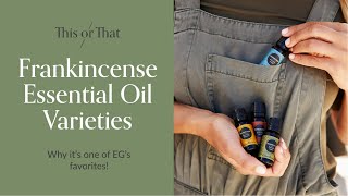 Frankincense Essential Oils Why Its One Of EGs Favorites [upl. by Karrah]