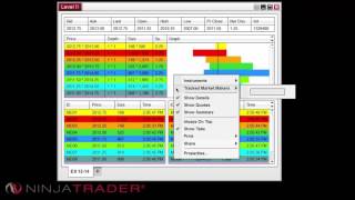 NinjaTrader 8  Level II Window Overview [upl. by Stacie]