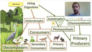 Biology 012 Ecosystems  Biotic and Abiotic Factors [upl. by Adnael]