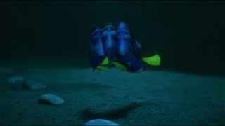 Finding Dory Scene 5 [upl. by Talya313]