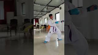 Karate kid training [upl. by Einnus]