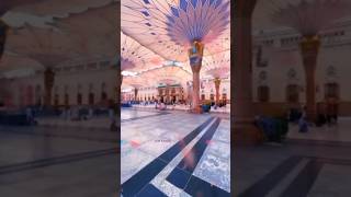 Ye ShehreMustofaSAWS Hai 🕌Madinah shorts madina naat islamicstatus [upl. by Nedyaj456]