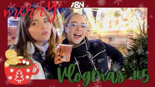 VLOGMAS 23 🎄531  ISPROBAVAMO HRANU SA BOZICNE PIJACE part 1 [upl. by Salokkin]