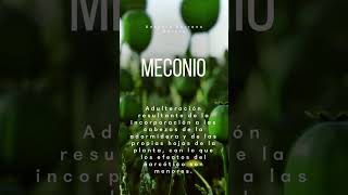 MECONIO [upl. by Pamella]