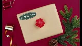 Weihnachtliche Grüße von Plachutta [upl. by Ploch745]