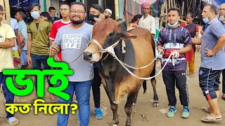 Bhai Koto Nilo 2024 Gabtoli Gorur Haat 2024  Qurbani Cow Price 2024  Cow video  part37 [upl. by Gustav998]