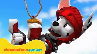 PAW Patrol  La Pat Patrouille  Les plus grands sauvetages DENTAIRES   Nickelodeon Jr France [upl. by Leibman]