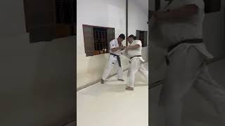 Karatê Uechi Ryu  KUMITE [upl. by Coralie]