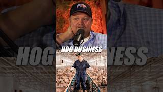 How the Hog Business is One of The Best Food Production Systems [upl. by Gyasi]