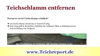 Teichschlamm entfernen Phosphate binden  Video So geht Ihr Gartenteich topfit in die Wintersaison [upl. by Nah139]