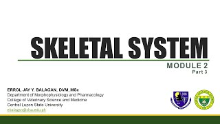 Skeletal System Part 3  Vertebrae ribs and sternum [upl. by Donell]