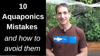 10 Aquaponics Mistakes and how to avoid them [upl. by Enoryt]