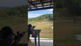 DS15 at 250 Yards [upl. by Eceinehs]