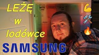 Naprawa lodówki Samsung RB31 – oraz prawdopodobnie innych lodówek No Frost [upl. by Sara-Ann126]