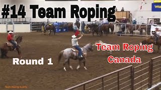 14 Round 1 Team Roping Canada Final 2022 [upl. by Naara]