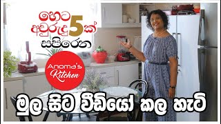 Anomas Kitchen මුල සිට වීඩියෝ කල හැටි  My YouTube Filming Journey from the very Beginning [upl. by Haelat]