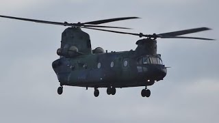 Plane Spotting Ottawa 10162023 WestJet Fantasia Livery RCAF Chinook Helicopter [upl. by Aitropal524]