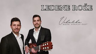 Ledene rože v živo Duet Vokalika  pogrebno petje [upl. by Swane]