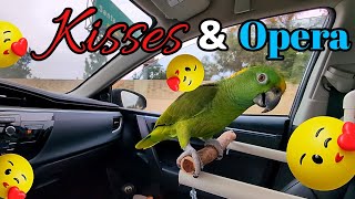 Charlie Murphy the Parrot kisses opera and other noise on the freeway [upl. by Neelyt914]