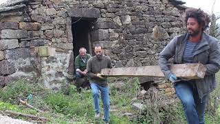 Collecting €100000 Recycled Oak Primitivo Beams [upl. by Sirdi]