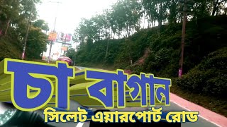 Tea garden Airport road Sylhet  চা বাগান এয়ারপোর্ট রোড সিলেট [upl. by Atahs]