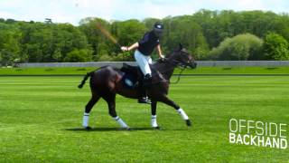 Land Rovers Guide To Polo Featuring Land Rover Ambassador Max Charlton [upl. by Ecylahs]