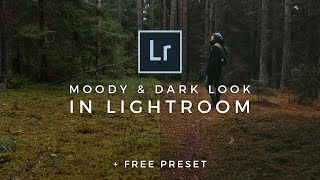 Dark Moody Lightroom Editing Tutorial FREE LIGHTROOM PRESET How to edit dark and moody photo style [upl. by Iur]