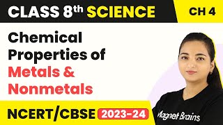 Chemical Properties of Metals and Nonmetals with Oxygen  Class 8 Science [upl. by Maxantia977]