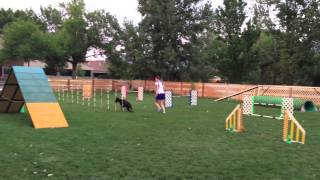 Doberman Agility with Amanda Albretsen and Mya  Fun Training [upl. by Terrie]