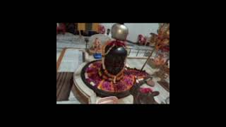 Shiva Temple Gumasta Nagar Indore Madhya Pradesh [upl. by Lasonde]