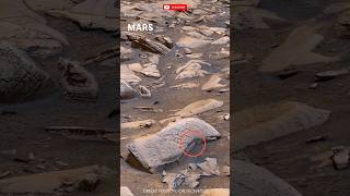 Mars view Curiosity sciencedawn [upl. by Zanas]