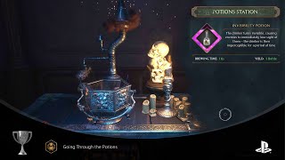 Going Through the Potions Bronze Trophy How To Guide  Hogwarts Legacy PS5 [upl. by Gratianna]