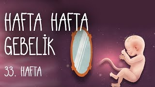 Hafta Hafta Gebelik 33 hafta [upl. by Adamis190]