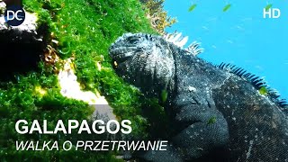 GALAPAGOS  na krańcu świata  Walka o przetrwanie  film dokumentalny  film przyrodniczy [upl. by Ferde]